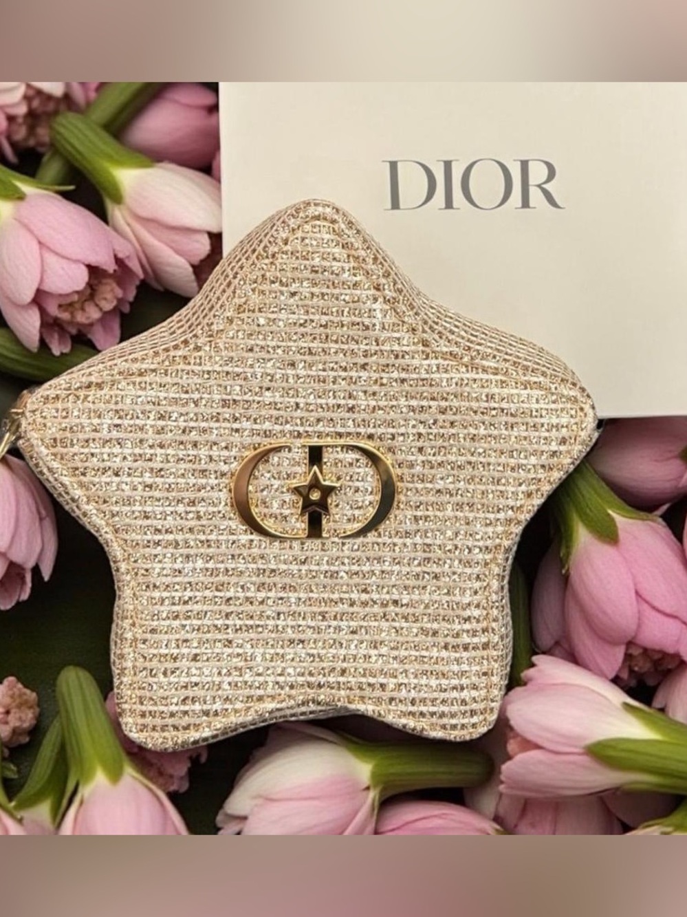 Dior Star-Shaped Evening Clutch in Champagne Gold Glitter